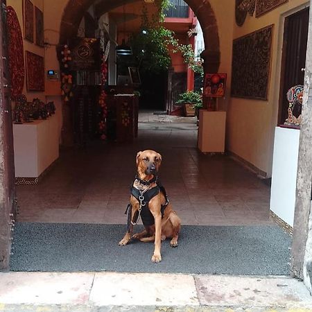 Aparthotel Sarita Centro Historico Sma San Miguel de Allende Eksteriør bilde